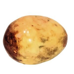 Semi Precious Stone Eggs